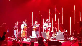 Billy Strings ~ Cold on the Shoulder (Tony Rice Cover) & Red Daisy show opener 3-12-22 Cincinnati.
