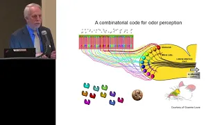 ILSI NA: ASN2018: Taste and Flavor: Mechanism, Evolution, and Function (Gary Beauchamp)