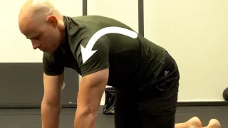 How to Improve Every Upper Body Exercise w/ More Scapular Control
