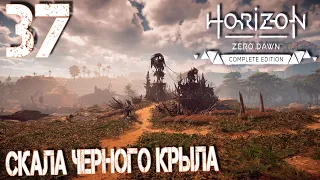 Horizon Zero Dawn. Прохождение ─ Часть 37: Скала Черного Крыла