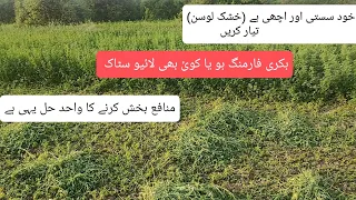 How to make Alfalfa hay|| Detailed information اپنا سستا اچھا خشک لوسن ایسے تیار کریں