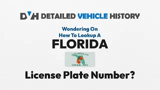 Best Florida License Plate Lookup Tool For Searching Vehicle History