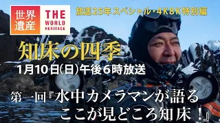 【TBS世界遺産】水中カメラマンが語る～ここが見どころ！北海道・知床【1月10日午後6時放送】