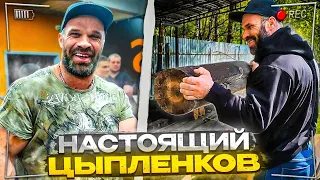 Настоящий Цыпленков: дом, автомобиль, путешествия, спарринг.