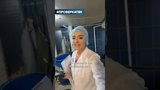 «Проверка» ТВК вернулась в рыбный цех в Красноярске: включение со съемок