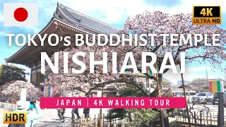 Beautiful Japanese Temple - Walk in Nishiarai Daishi【4K HDR】
