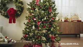 The All-New BH Fraser Fir®: Highly Realistic Foliage | Balsam Hill®