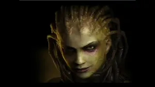 Starcraft: Brood War FPVOD, Adolf vs HulkTerran