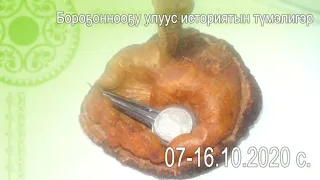 Хомус куттаах Уус-Алдан уустара