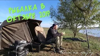 Рыбалка на карпа в октябре 2019 | мелкий карп в холодной воде| HD