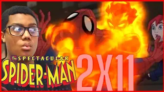 New villains | Spectacular Spider-Man season 2 episode 11 (REACTION)