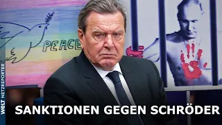 WEGEN NÄHE ZU PUTIN: EU stimmt über Sanktionen gegen Altkanzler Gerhard  Schröder ab