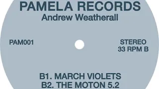 Andrew Weatherall / March Violets -SNIPPET-