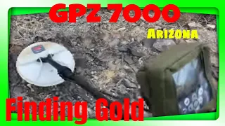 Minelab GPZ 7000 how Deep can this Machine go? looking for Gold. Hunting an Old Nugget Patch.
