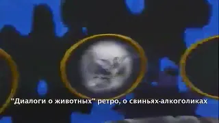 Заставка программы Диалоги о животных (РТР, 1994-1997)