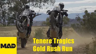 Tenere 700 - Tenere Tragics Gold Rush Run - Motorcycle Adventure