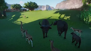 African Buffalo | Planet Zoo Animals