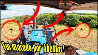 FUI ATACADO POR UM ENXAME DE ABELHAS!🐝🐝 EMPURRANDO AS ARVORES CAIDA NA LAVOURA COM O NH 7630!