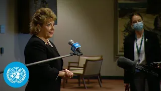 Ireland on Ukraine - Security Council Media Stakeout (5 April 2022)