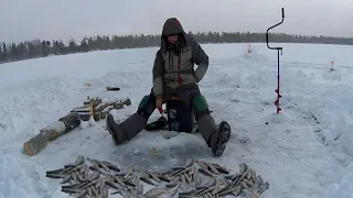 НА ЭТОМ ОЗЕРЕ СМОЖЕТ ПОЙМАТЬ ЛЮБОЙ !!! РЫБНЫЕ МЕСТА. РЫБАЛКА В ЗАБАЙКАЛЬЕ.