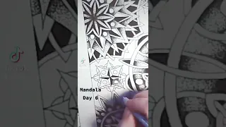 Mandala Day 6 #art #ink #penandink #inkdrawing #drawing #drawingvideos #mandala