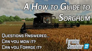 Everything you need to know about Sorghum in Farming Simulator 22