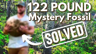 Rockhounding Rescue Mission: HUGE Mystery Fossil and Finding a Positive Identification!