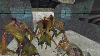 Half-Life 2: Bug Friends!