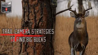 Trail Camera Strategies to Find Big Bucks | OnX Hunt Gameplan
