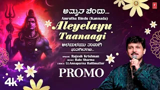 Aleyelayu Taanaagi Promo Video | Amrutha Bindu | Rajesh Krishnan | Balu Sharma | New Kannada Song