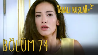 Yaralı Kuşlar 74. Bölüm