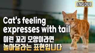 [Eng Dub] What a cat says with its tail.  The meaning of a cat's tail.