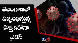Telangana New Strain Corona Virus Updates | UK Virus | TV5 News