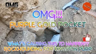 OMG!!! Purple Gold Pocket - What's going on here?? Rockhounding for Purple Gold