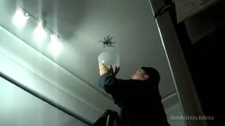 ¡Daddy! ¡Careful! Big Spider Attacks Daddy