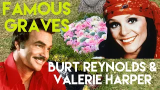 Famous Graves : Burt Reynolds New Headstone Plus Valerie Harper & The Cats of Hollywood Forever