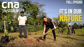 Do Singapore's Wildlife Conservation Efforts Really Matter? | It's In Our Nature | Part 2/2