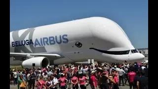 Este es el gigante de los aviones, el Airbus Beluga XL