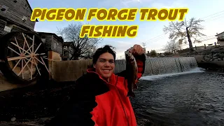 Pigeon Forge Trout Trip