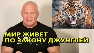 Мир живет по закону джунглей!