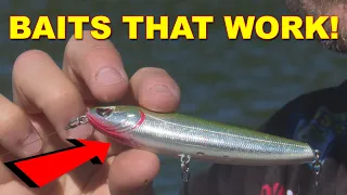 Spring Topwater Baits | Bass Fishing