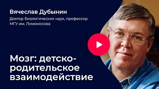 Вячеслав Дубынин. «Мозг: детско-родительское взаимодействие»