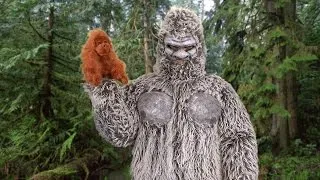 Squatch and Learn About Baby Bigfoots