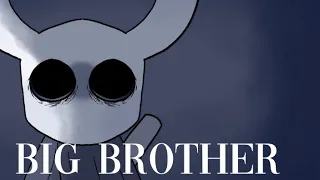 big brother - hollow knight [spoilers]