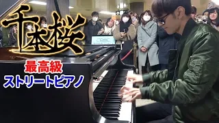 [Public Piano]I played "SenbonZakura" on Top class piano Steinway-D [Yomii/よみぃ]