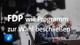 FDP-Parteitag: Liberale wollen Bundestagswahl-Programm beschließen