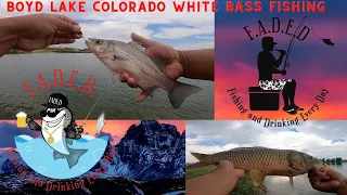 How to catch white bass on a kastmaster at Boyd Lake Colorado