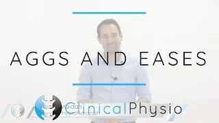 Aggravating and Easing Factors | Clinical Physio Premium