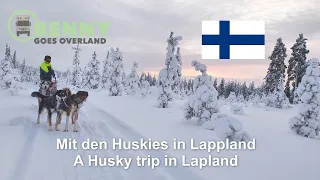 Mit den Huskies in Lappland / A Husky trip in Lapland