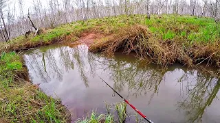 НЕВЕРОЯТНО! ОТКУДА В ЭТОМ РУЧЬЕ СТОЛЬКО РЫБЫ?? Щука на воблеры .Весенняя рыбалка